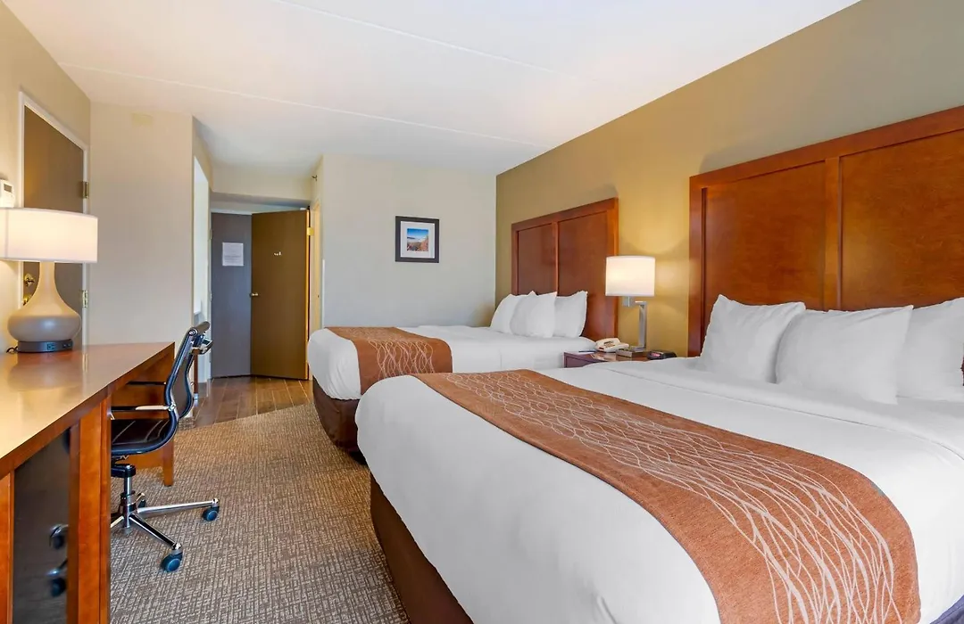 Comfort Inn & Suites Wilkes Barre - Arena-1