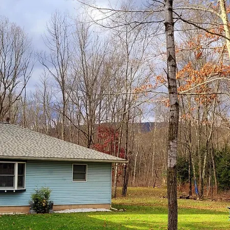 Experience The Serenity Of Pineapple Acre Pocono-3
